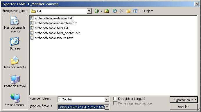 screenshot of computer file window when exporting a table in .txt format