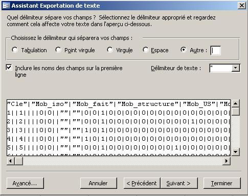 screenshot of computer window when choosing aa delimiter including field names on the first row