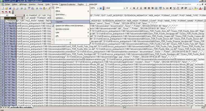 screenshot of metadata on raw CSV format