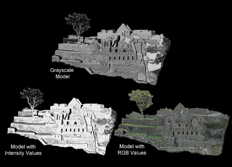 Examples of intensity and RGB data