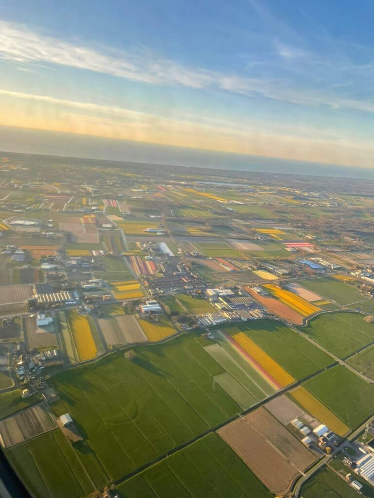 View of Amsterdam tulip fields from airplane