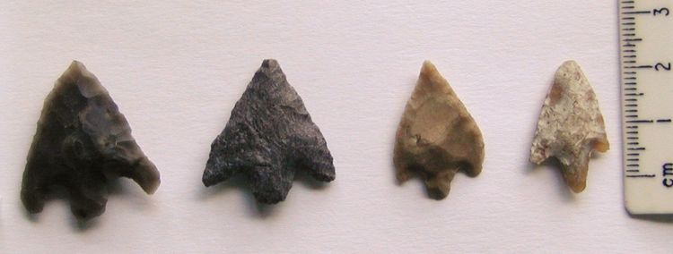 A photo of four flint arrow heads in a row