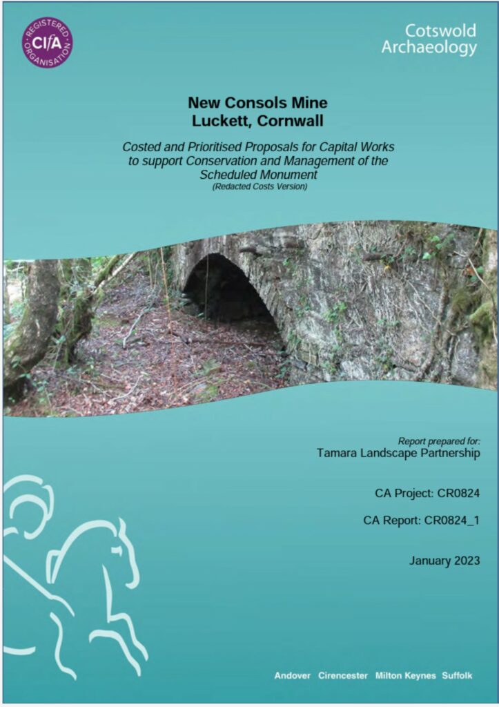 The front cover of a report by Cotswold Archaeology