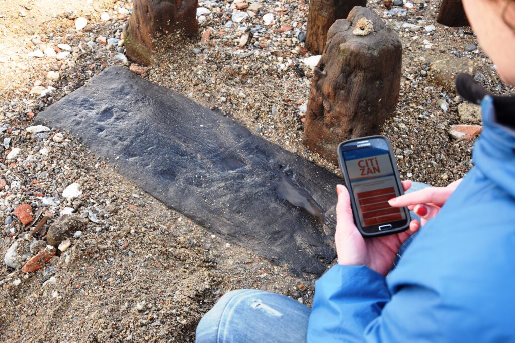 A person using a smartphone to record a timber
