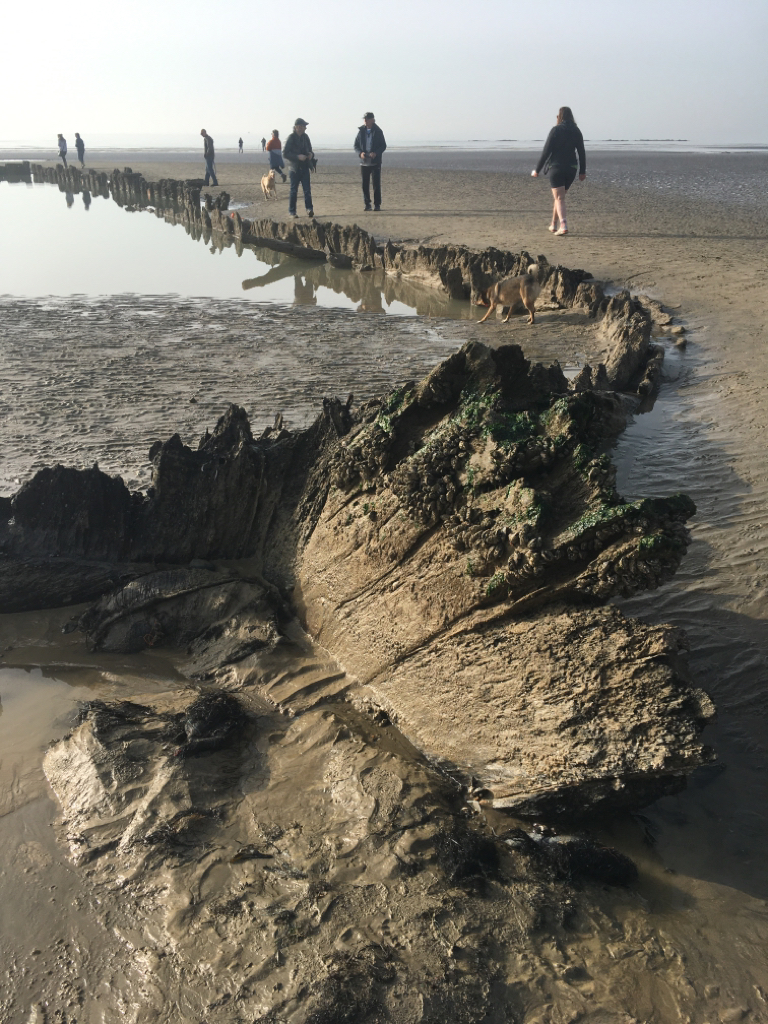 A picture of the remains of a timber ship in the beach sand with people in the background