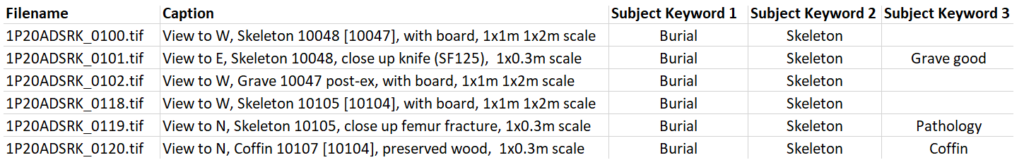 A screenshot of a Microsoft Excel spreadsheet showing good captions for hypothetical raster images of human remains.