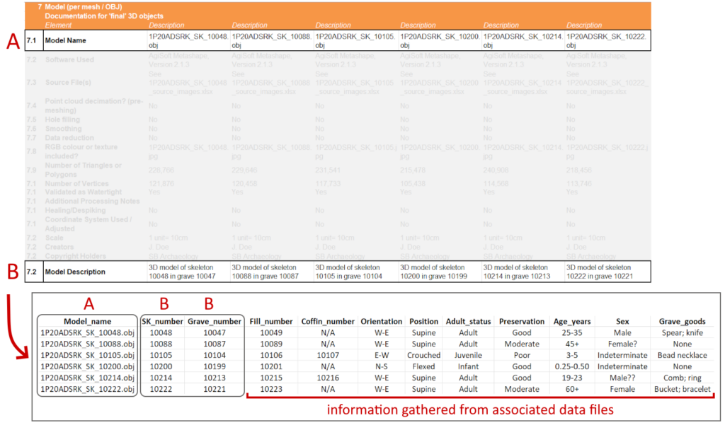 A screenshot of two Microsoft Excel spreadsheets. The top spreadsheet shows the ADS 3D metadata template filled in with hypothetical data about six 3D models. The bottom spreadsheet incorporates some data (like model name and skeleton number) from the top spreadsheet and combines it with further contextual data about individual skeletons (like age, sex, and grave goods.