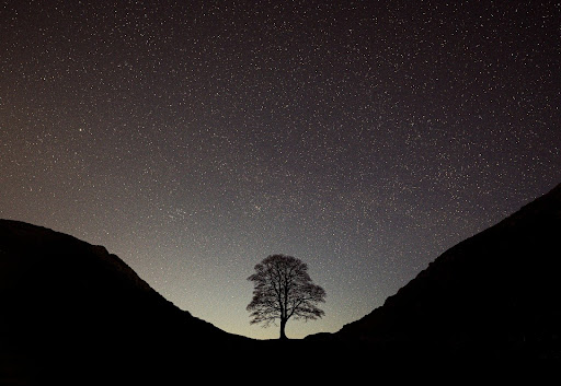Silhouette of tree between two hills