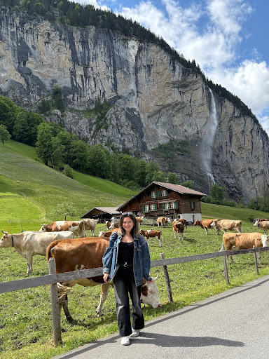 Archives Assistant Tasmin, standing next to some cows