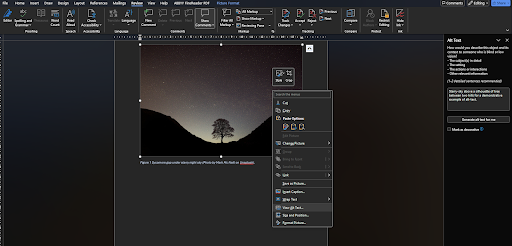 showing how to select 'add alt text' to an image 