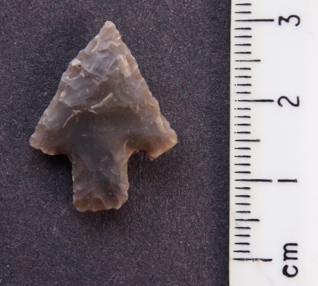Image of a barbed-and-tanged arrowhead next to a ruler showing it to be around 2cm tall