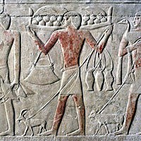 Bringing an array of food offerings for Kagemni, vizier of King Teti (Dynasty VI)