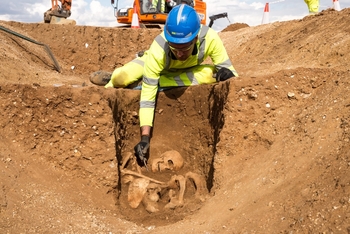 Adult male skeleton dating to the middle Bronze Age cut into the fill of the earlier Bronze Age ring ditch monument. &copy; A14C2H courtesy of MOLA Headland Infrastructure