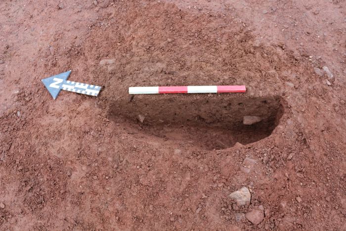 Thumbnail of RAMM 18 03: Postholes 640 and 642 looking E