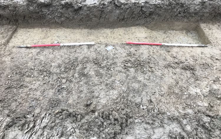 1C20WRBTT / 43 / 103 / 10307 / Furrow Photo