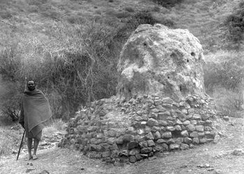 North of Engaruka, foothills cairn with ant hill.