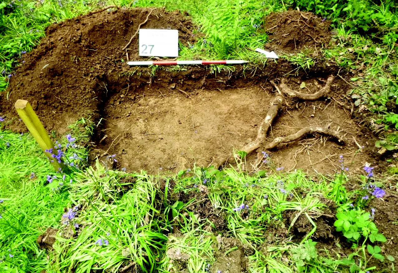 Example of woodland survey test pit from Windmill Hill Spinney, Test pit 27. Copyright HS2 Ltd. 