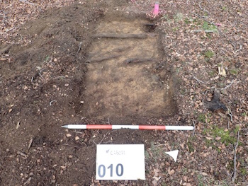 Data from a Route Wide Woodland Historic Landscape Characterisation at Widmore Farm, Oxfordshire, 2021 (HS2 Phase One)