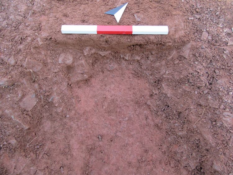 Thumbnail of NW facing shot of gully 3803