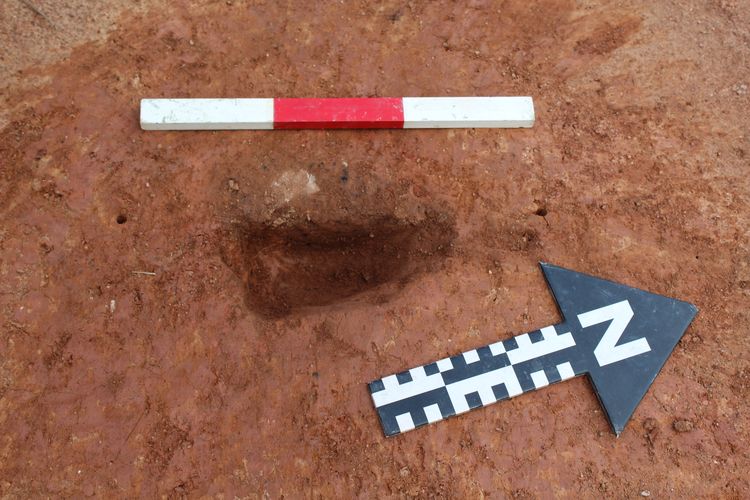 Thumbnail of NW facing shot of posthole 47037