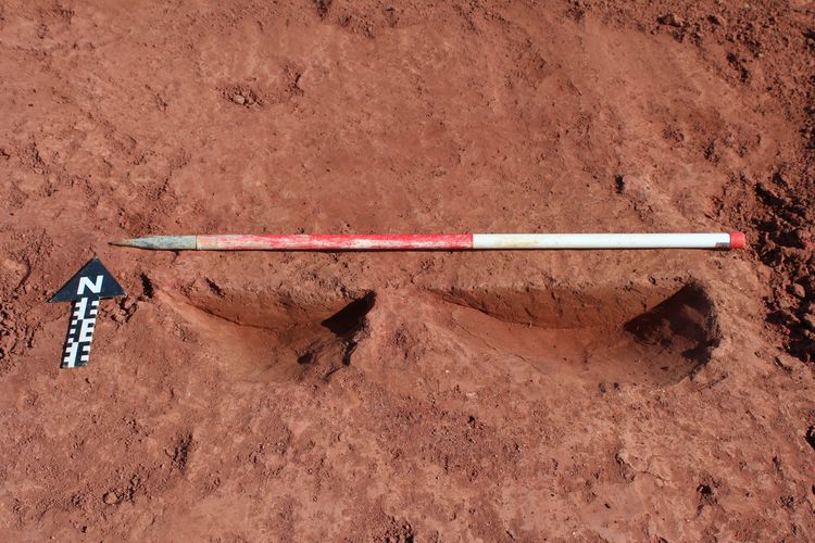 Thumbnail of N facing shot of postholes 46005 and 46007