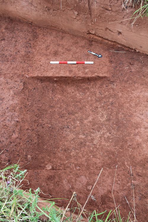 Thumbnail of SW facing shot of ditch 4403
