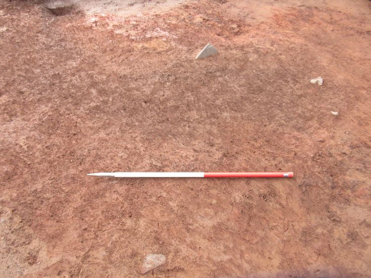 Thumbnail of SW facing shot of oval feature 47021 pre excavation