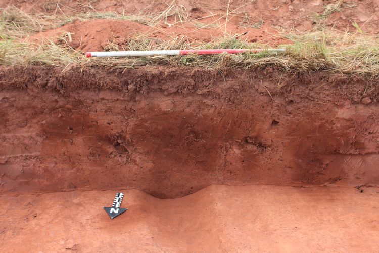 Thumbnail of S facing shot of ditch 46004