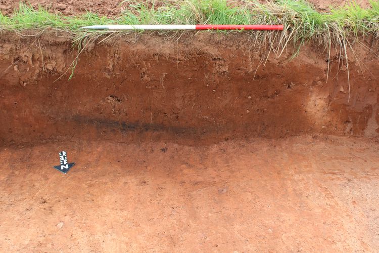 Thumbnail of S facing shot of ditch 47035