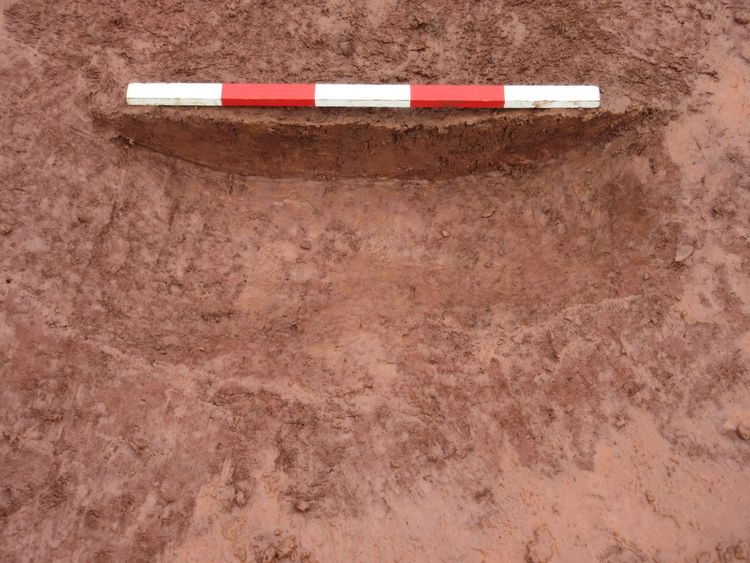 Thumbnail of S facing shot of pit or posthole 46062