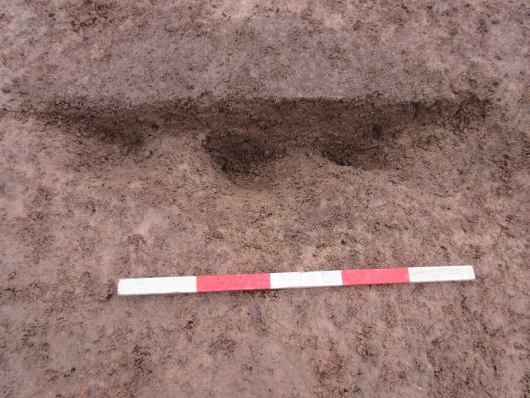 Thumbnail of W facing shot of possible postholes 47011 47013 and 47015