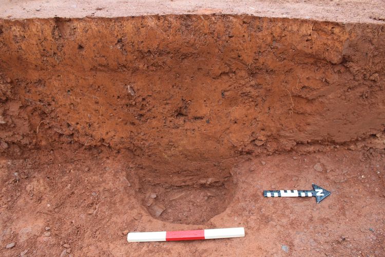 Thumbnail of W facing shot of posthole 4308