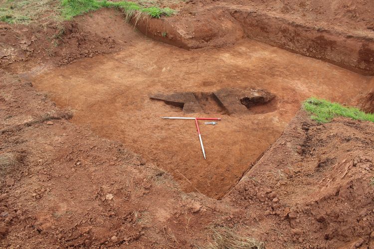 Thumbnail of W facing shot of trench 42 extension