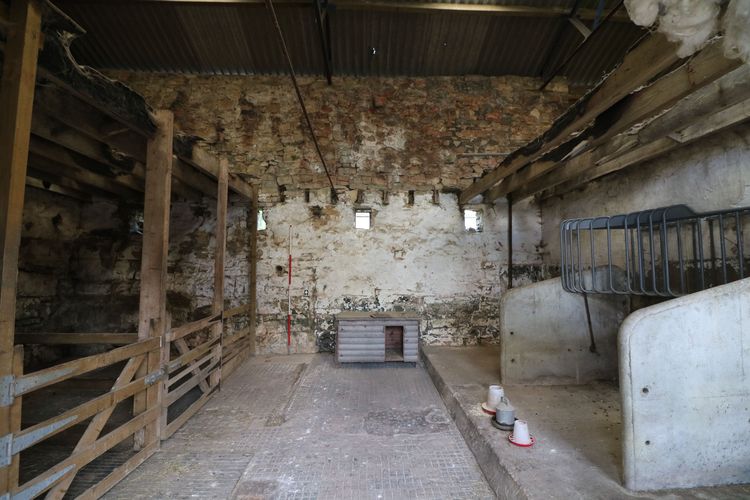 Thumbnail of Figure 15 and 50 Internal view of Room B1 looking north