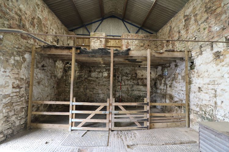 Thumbnail of Figure 16 and 51 View of the western wall of B1 with areas of large stonework to northern corner looking west