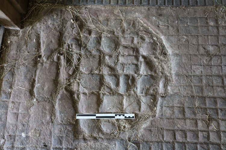 Thumbnail of Figure 54 View of floor inside room B1
