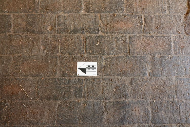 Thumbnail of Figure 58 View of floor inside room B2
