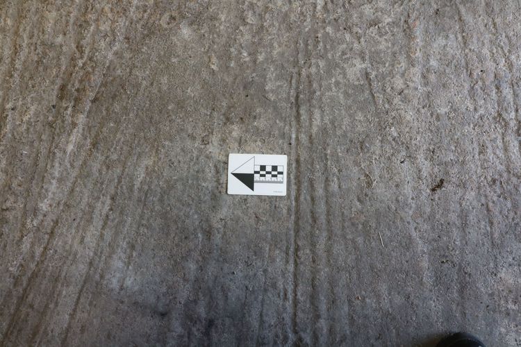 Thumbnail of Figure 61 View of floor inside room B3