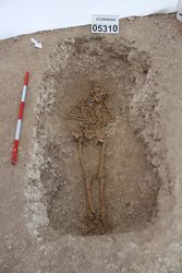 1C19ERHAR_005702.jpg