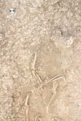 1C19ERHAR_005_2854.jpg