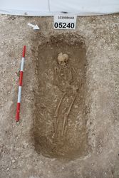 1C19ERHAR_006246.jpg