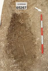 1C19ERHAR_007016.jpg