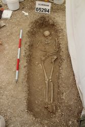 1C19ERHAR_007086.jpg