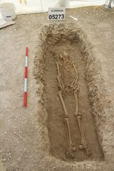 1C19ERHAR_007690.jpg