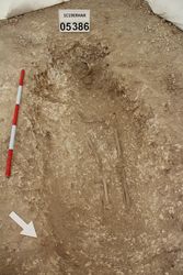 1C19ERHAR_008796.jpg