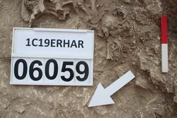 1C19ERHAR_10412.jpg