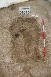 1C19ERHAR_10489.jpg