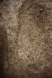 1C19ERHAR_145_6466.jpg