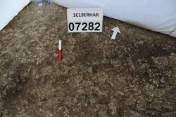 1C19ERHAR_16768.jpg
