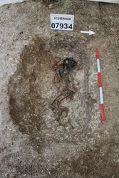 1C19ERHAR_21451.jpg